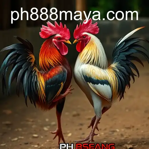 The Fascinating World of Sabong Games and PH888.COM